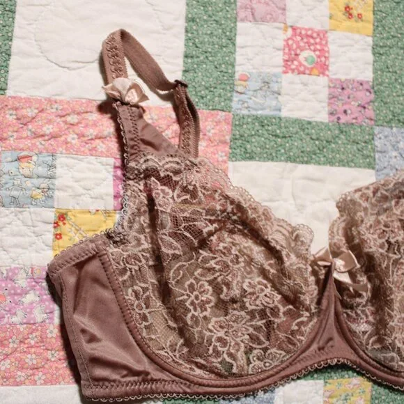 Ewa Michlak brown lace BM bra 85F - Picture 2 of 5